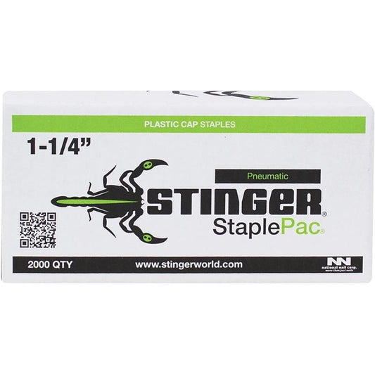 1 1/4" Stinger Cap Staples - 2000/Bx