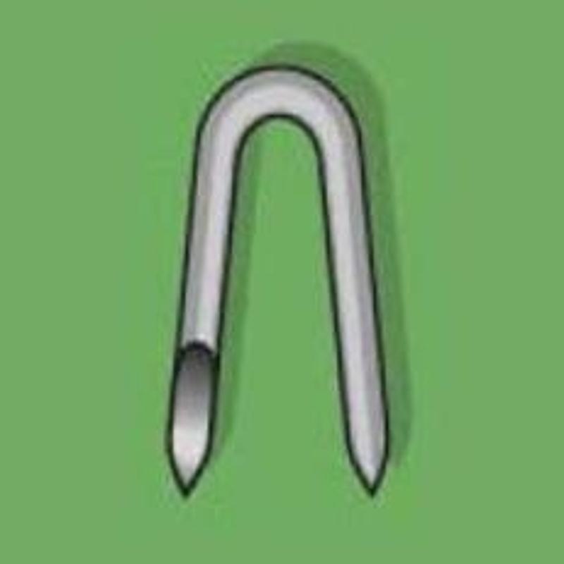 1 3/4" Galvanized Fence Staples - 50lb