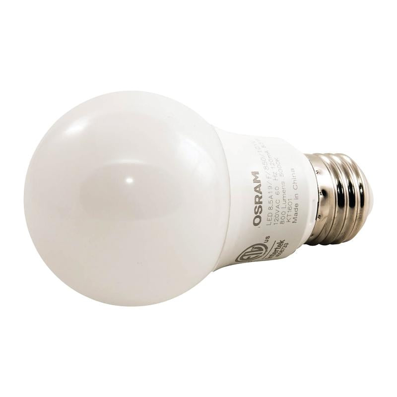 A19 Frosted LED Bulb 60W 10Yr Daylight 5000K