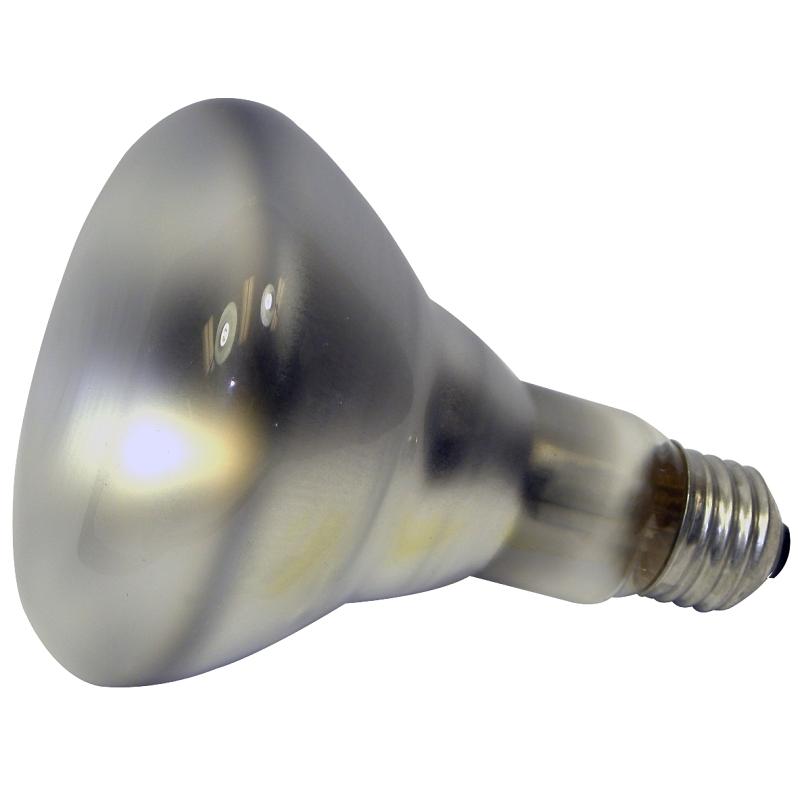 BR30 Halogen Bulb Reflective 65W 3/pk