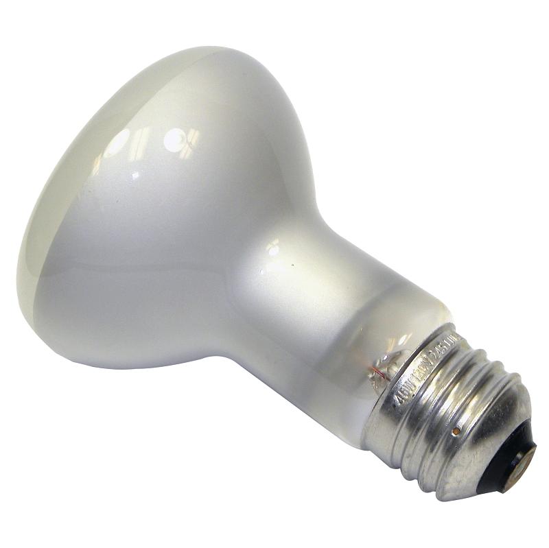 Incandscent Bulb 45W 120V