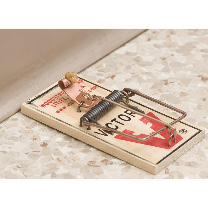 Victor Mouse Trap Wooden M040 1/pk