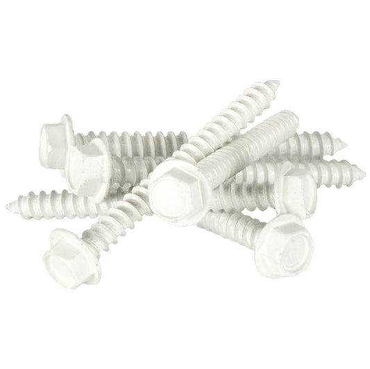 2 1/2" Regal White Lag Screws - 24/Pk